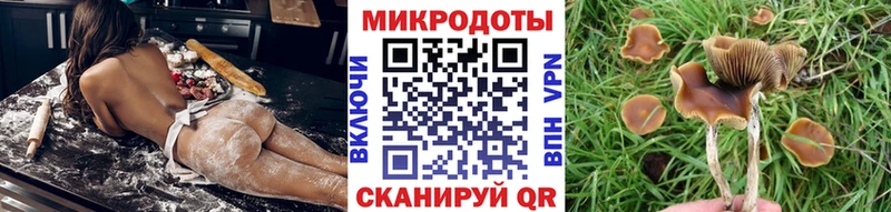 Купить Донецк Галлюциногенные грибы прущие грибы